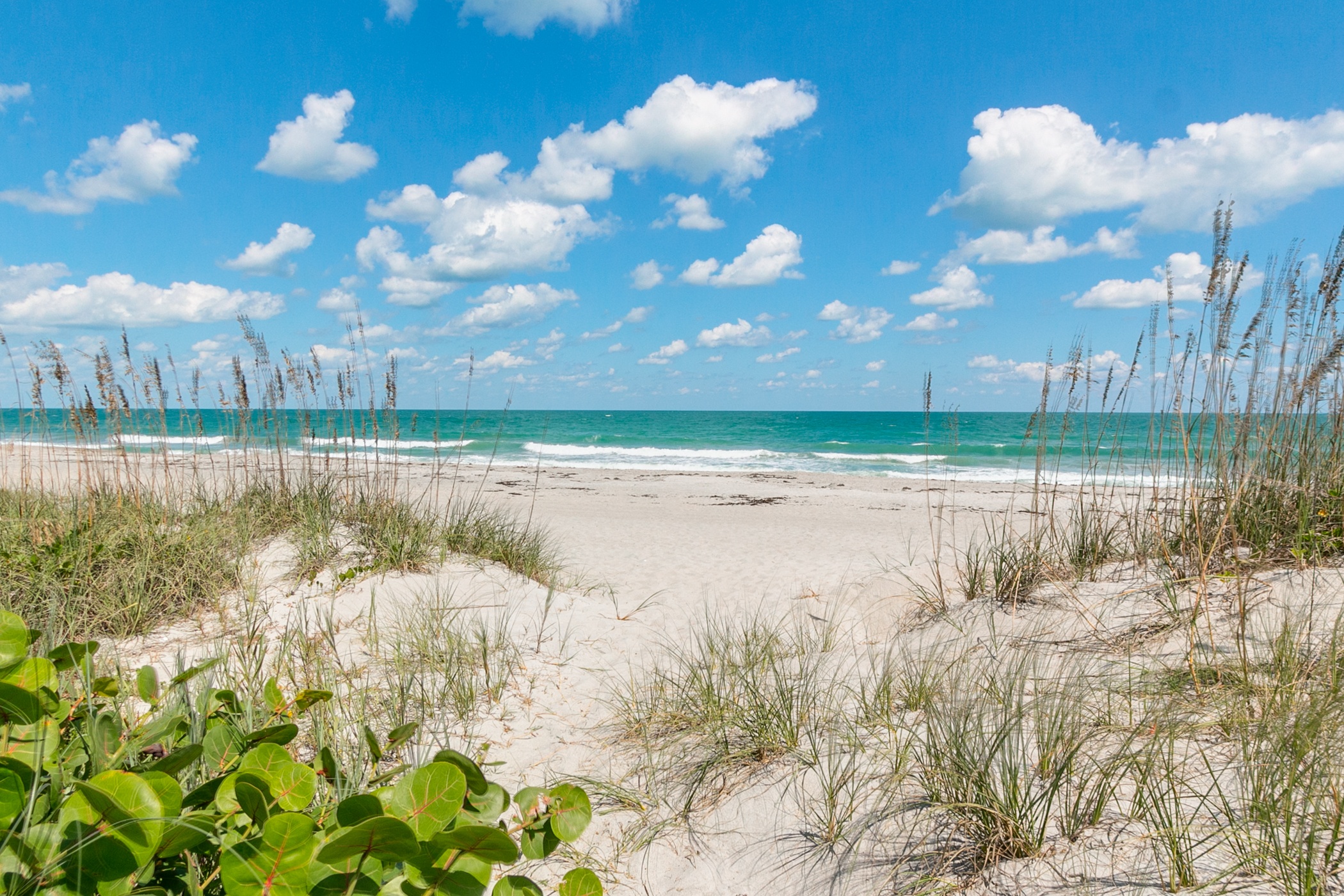 Satellite Beach oceanfront shoreline and residential beachside neighborhoods